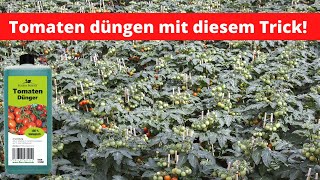 Tomaten richtigen düngen mit diesem Trick 🍅 🍅 🍅 🍅 [upl. by Ailaroc906]