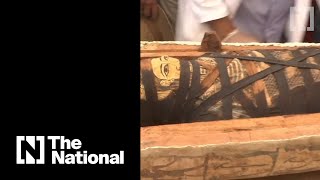 Egypt unveils a trove of ancient sarcophagi [upl. by Lundin]