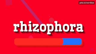 HOW TO SAY RHIZOPHORA [upl. by Tenney]