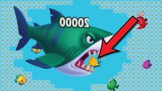 Eat Fish Io Game Gameplay  Mini Fish Game for Kids  Fishdom Game for Kids MachliEra [upl. by Wolpert376]