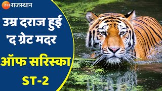 Sariska ST2 I मदर ऑफ सरिस्का की देखभाल में जुटा प्रशासन I Zee Rajasthan News [upl. by Vinni]