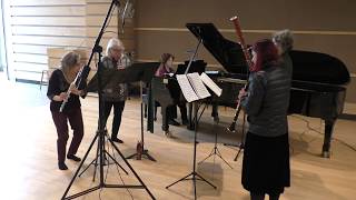 Heliand Consort – Telemann Quartet in G Major TWV 43G6 [upl. by Catharina]