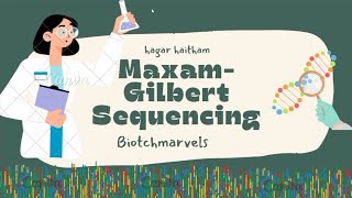 Maxam Gilbert sequencing 🧬 شرح بالعربي [upl. by Anikat]