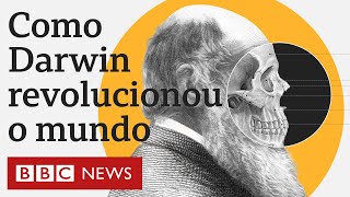 O que é a teoria da evolução de Charles Darwin e o que inspirou suas ideias revolucionárias [upl. by Prady]