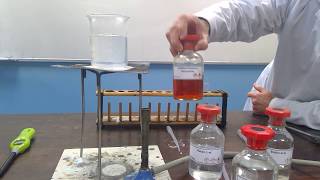 Alcohols  Phenols n Ethers 08 II Properties Of Alcohols 4  Oxidation Of Alcohols JEENEET [upl. by Haik]