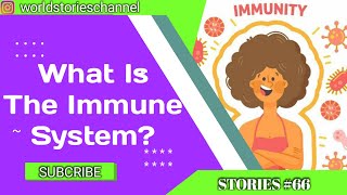 What Is The Immune System [upl. by Shay]