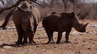 Habitas Namibia  Welcome Home [upl. by Ariay]