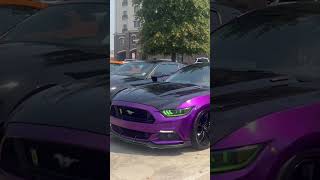 Purple Mustang GT runs the show🔥 [upl. by Sydney997]