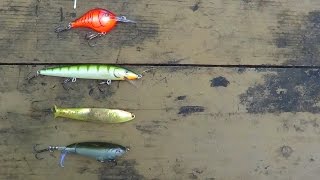 Types Of Fishing Lures Explained [upl. by Eamon844]