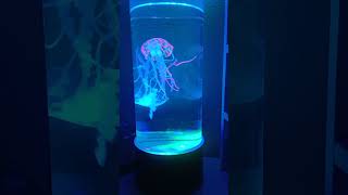 Jellyfish lamp Link is in the bio jellyfishlamp [upl. by Claudian894]