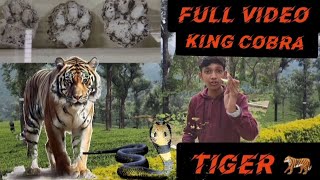 Valparai tour havoc vlogers tiger footprints 👣 ttfvasan parithabangal trending shorts [upl. by Nerro768]