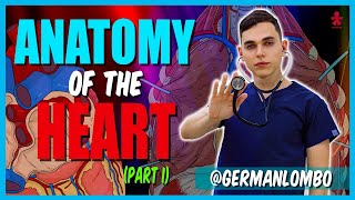 PART 1  ANATOMY OF THE HEART [upl. by Plath]