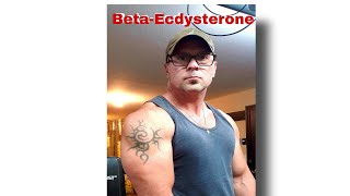 Ecdysterone  Natty Plant Sterol Gains  Natty or Not [upl. by Acissaj]