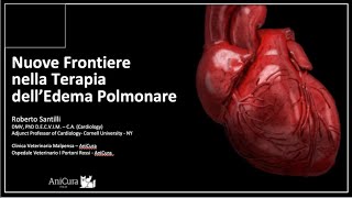 Nuove frontiere nella terapia delledema polmonare [upl. by Katina]