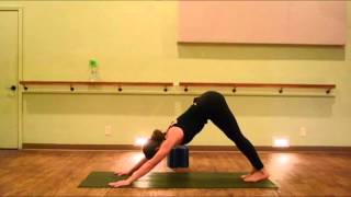 HOW TO Chaturanga Correctly [upl. by Ortrud]