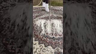 Foam scraping 378satisfying asmr carpetcleganin Newaladdin shorts [upl. by Lynd]