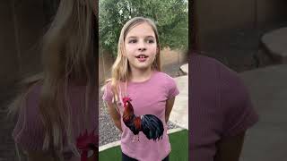 🐔Rooster Crow kidslearning [upl. by Ellerehc]