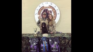 chiefholland Boykin Spaniel 2018 Boykin Spaniel Society National Field Trial Champion Novice BSS [upl. by Enyar]