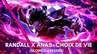 Randall x Anas Choix De Vie Slowed  Reverb [upl. by Olumor93]