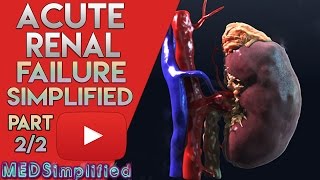 Acute Renal Failure Made Easy Part 22 [upl. by Aneis]