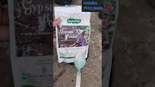 Best Fertilizers for Vibrant Growth and Abundant Flowers in Your Plants [upl. by Ashwin]