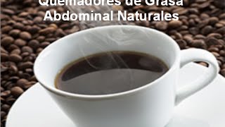 Quemadores de Grasa Abdominal Naturales [upl. by Ssac994]