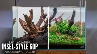 Aquascaping Tutorial 60cm InselStyle Aquarium Komplette Einrichtung [upl. by Salene]