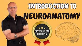 Intro to Neuroanatomy  Neurophysiology  Neuroscience  Central Nervous System [upl. by Agrippina]