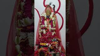 Kali Mai Kali Mai song kalipuja काली मां पूजा 🙏shorts ytviral kalimaakalimatamahakali love [upl. by Mistrot946]