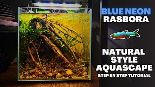 UNS 30C BLACKWATER FOR BLUE NEON RASBORAS Natural Style Aquascape Tutorial [upl. by Wittenburg468]