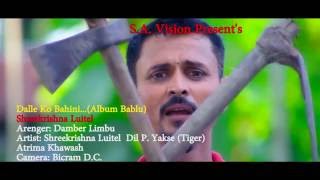 डल्ले कि बहिनी  Dalle Ki Bahini  श्री कृष्ण लुईटेल  Nepali song 20162073 [upl. by Lenad]