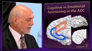 The Neuroanatomy of ADHD and thus how to treat ADHD  CADDAC  Dr Russel Barkley part 2a [upl. by Millar]