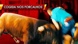 Cogida por um Toiro a entrar no salvavidas  Forcalhos 2015 [upl. by Anikal889]