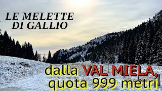 42 Le MELETTE DI GALLIO salendo dalla VAL MIELA con neve fresca [upl. by Mullac173]