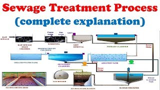 Sewage treatment plant working with explanation  Wastewater treatment process description [upl. by Feledy]