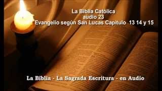 La Biblia Católica en audio 23 Evangelio San Lucas 13 14 15 [upl. by Woodley146]