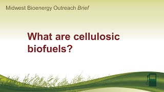 What are cellulosic biofuels [upl. by Stallworth112]