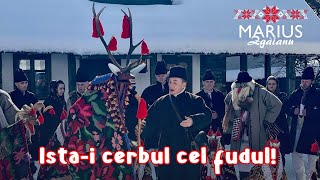 Marius Zgâianu  Istai cerbul cel fudul [upl. by Martres]