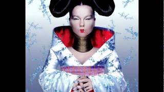 Björk  Immature  Homogenic [upl. by Tilden585]