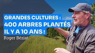 Agroforesterie en grandes cultures  10 ha de bois doeuvre plantés il y a 10 ans  Roger Béziat [upl. by Ark]