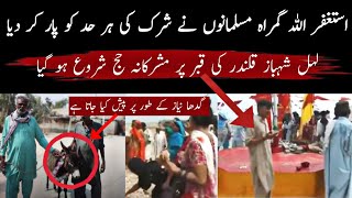 Open Shirk In Pakistan  Lal Shahbaz Qalandar Ki Dargah Pe Hajj  Astaghfirullah [upl. by Naujik]