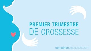 Premier trimestre de grossesse  La grossesse trimestre par trimestre [upl. by Nivel997]