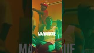 « MANDINGUE » disponible la famille [upl. by Gnilrets]