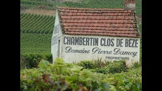 Gevrey Chambertin Grand Cru Premier Cru Villages [upl. by Palladin]