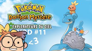 ON VOL VERS LES TERRES ILLUSOIRES  Pokemon Donjon Mystère VOD 11 [upl. by Schaeffer]