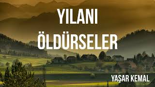 Yılanı Öldürseler Yaşar Kemal sesli Kitap [upl. by Bronny]