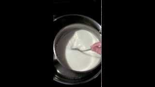 How to pasteurize goats milk [upl. by Baumann]