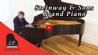 Hamburg Steinway amp Sons Grand Piano Review  Living Pianos [upl. by Anitreb]