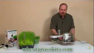 Harvesting amp Juicing Wheatgrass  Wheat Grass Juice [upl. by Victoir]