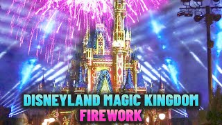 Disney Land Magic Kingdom  Spectacular Fireworks Display 🤩🤩 [upl. by Enomyar]